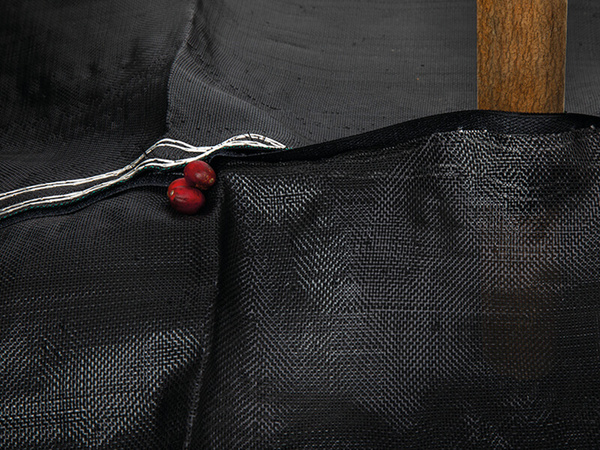Coffee and Nut Harvesting Tarp Fabric 6 Coffee and Nut Harvesting Tarp Fabric