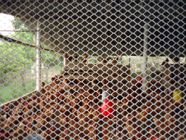 Malla Cerramiento 2 Malla Cerramiento