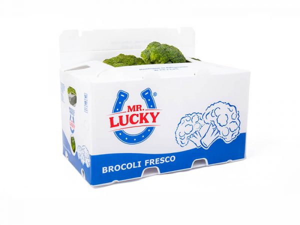 01 caja cartonplast brocoli