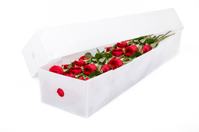 Boxes for Flowers