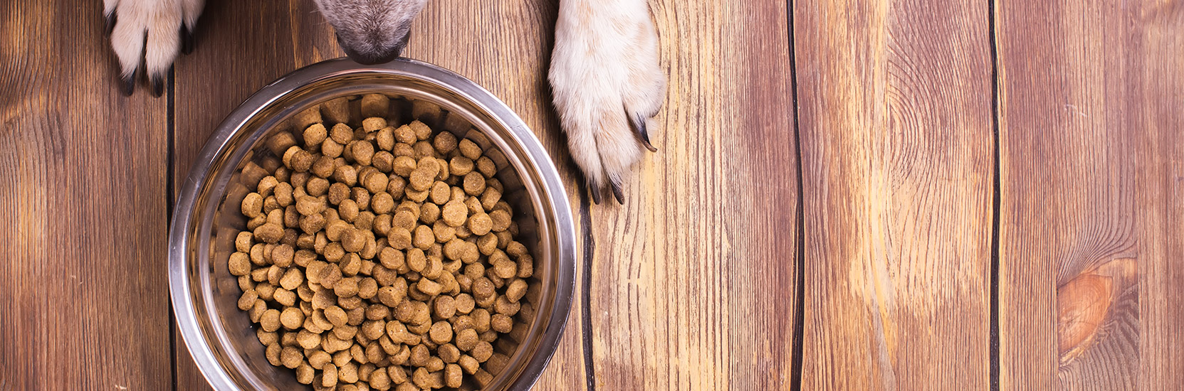 Background Pellets for Animals