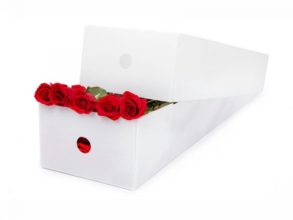 03 caja cartonplast flores
