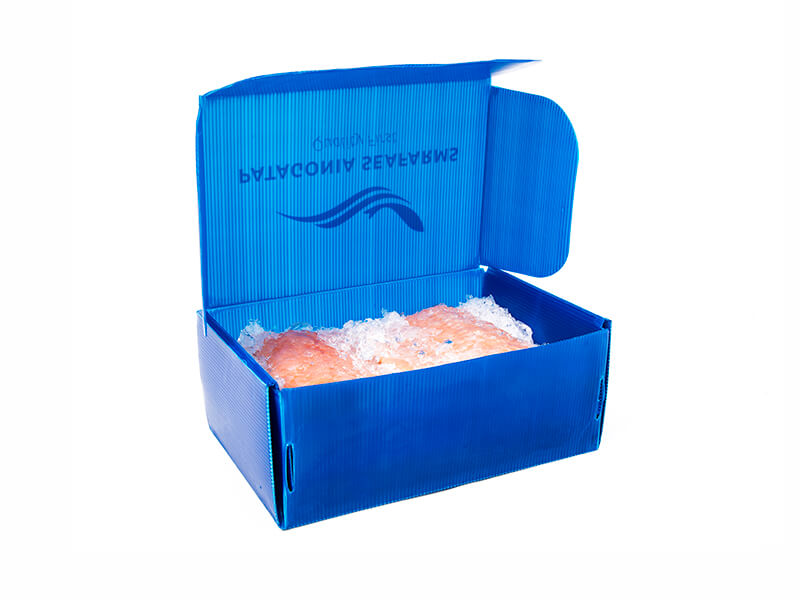 Boxes for Fresh Fish and Sea Food