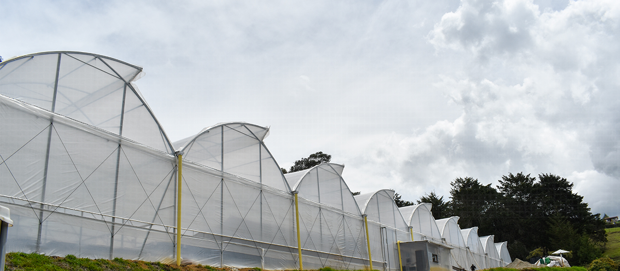 Fondo Mallas agrícolas