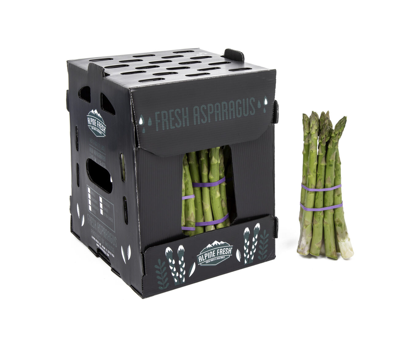 caja cartonplast para espárragos y otras verduras