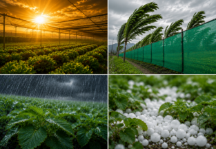 Mallas agrícolas para control climático en invernaderos